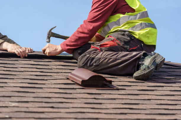Best Metal Roofing Contractor  in Elroy, WI