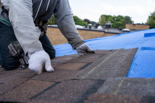 Best Slate Roofing Contractor  in Elroy, WI