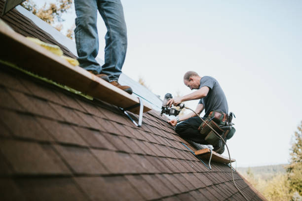 Best Storm Damage Roof Repair  in Elroy, WI