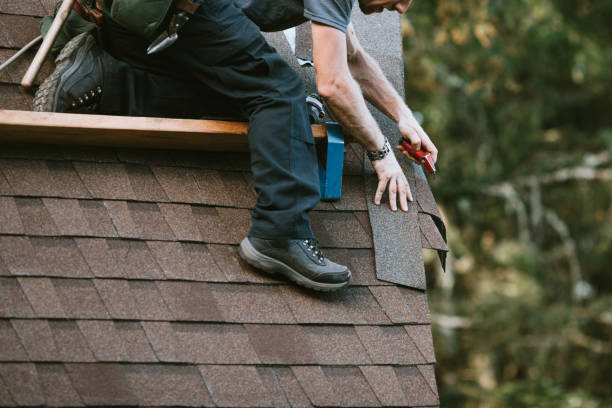 Best Roof Repair Services  in Elroy, WI